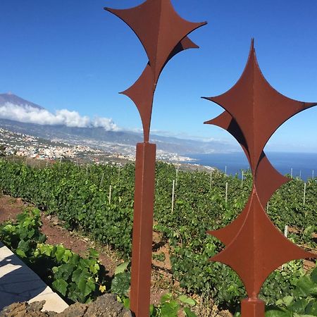 Finca Angelus Apartment Syrah With Amazing Views La Matanza De Acentejo Exterior foto