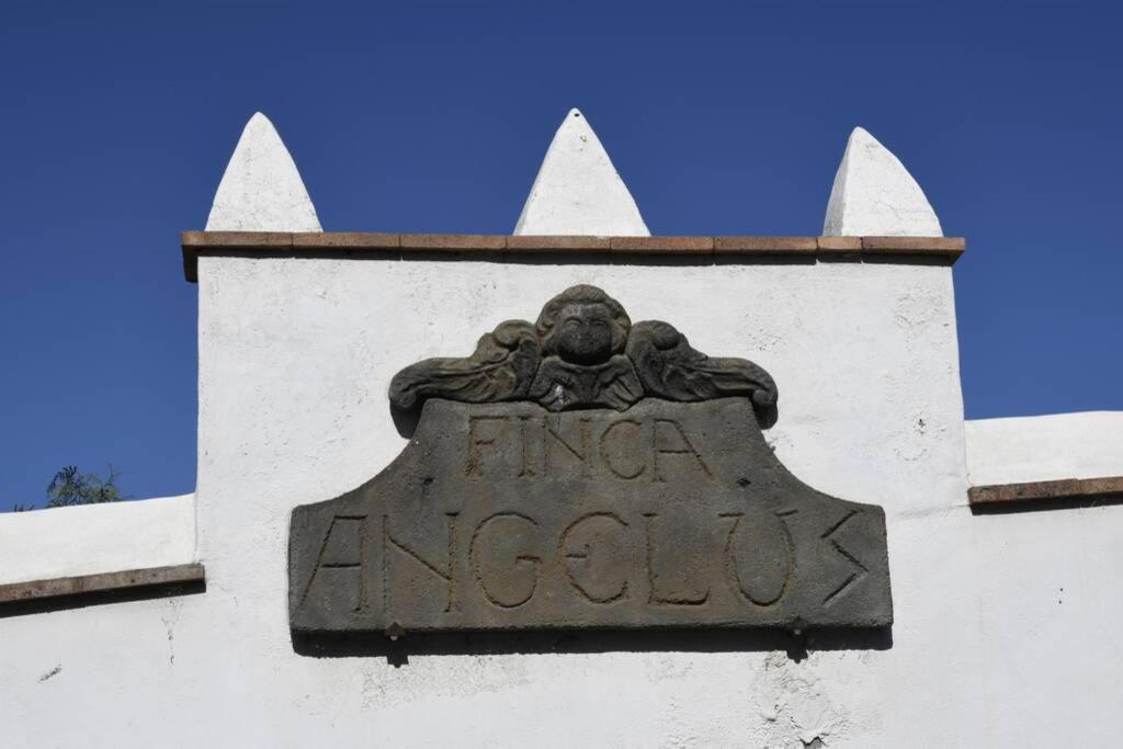 Finca Angelus Apartment Syrah With Amazing Views La Matanza De Acentejo Exterior foto
